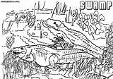 Swamp Coloring Pages Drawing Colorings Getdrawings 76kb 1000 sketch template