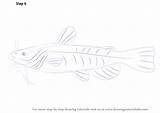 Fish Bullhead Step Drawing Draw Accents Finishing Make Now Fishes Tutorials Drawingtutorials101 sketch template