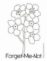 Forget Coloring Clipart Flowers Nots Google Pages Getcolorings Printable Getdrawings Clipground Search sketch template