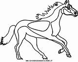 Cavallo Cavalli Stampa Questa Cavalos Riscos sketch template