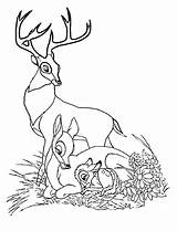 Bambi Coloriage Faline Bambie Reindeer Gratuitamente Genitori Suoi Stampa Coloriages Embarrassment Risorse sketch template