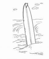 Prancha Surfboard Surfen Surfing Wecoloringpage Bermain Buku Bebas Mewarna Ausmalbild Coloringtop Acessar sketch template