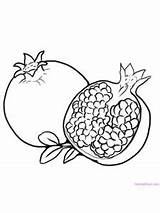 Coloring Pomegranate sketch template