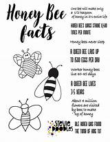 Coloring Printable Bee Facts Honey Pages Kids sketch template