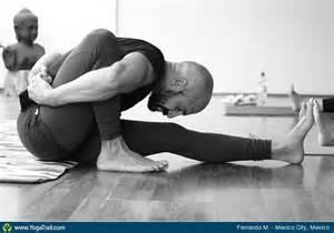 seated  bend yoga pose asana image  fernandomartinez