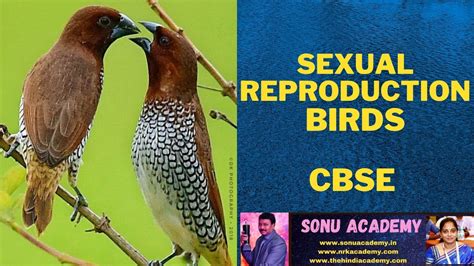 Sexual Reproduction Birds Cbse Biology Sonuacademy2015 Youtube