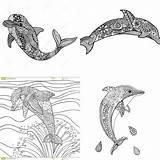 Mandala Dolphins sketch template