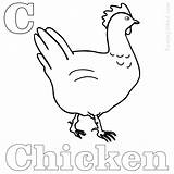 Chicken Coloring Nugget Pages Getcolorings Getdrawings sketch template