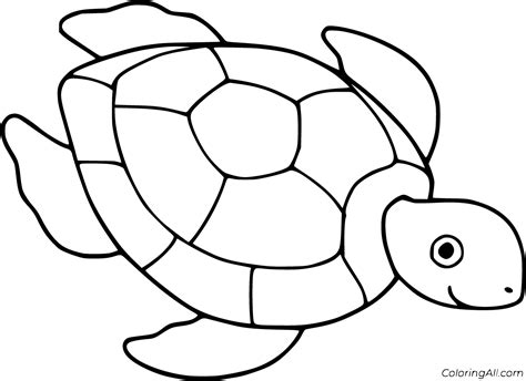 turtle coloring pages coloringall