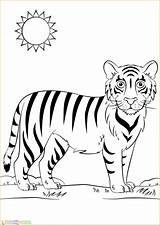 Harimau Mewarnai Tk Paud Marimewarnai sketch template