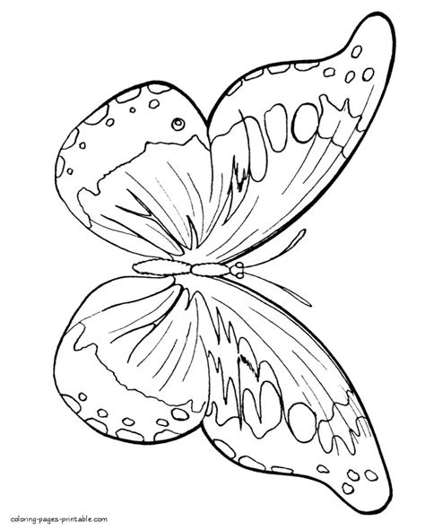 butterfly beauty coloring page coloring pages printablecom