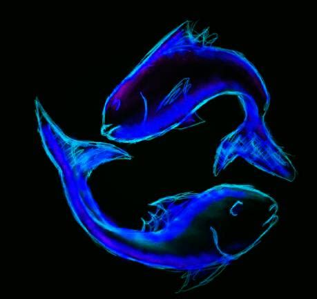 pisces  altruistic fishes  oracles library