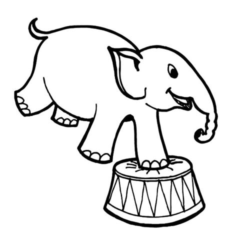 draw circus elephant coloring pages  place  color