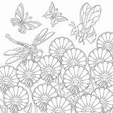 Insect Bugs 30seconds sketch template