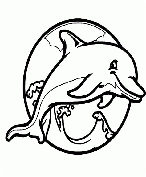 view dolphin cute baby animal coloring pages pics total update