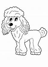 Pudel Hund Ausmalbild Ausmalen Klicke Auszudrucken Dein Kostenlose sketch template