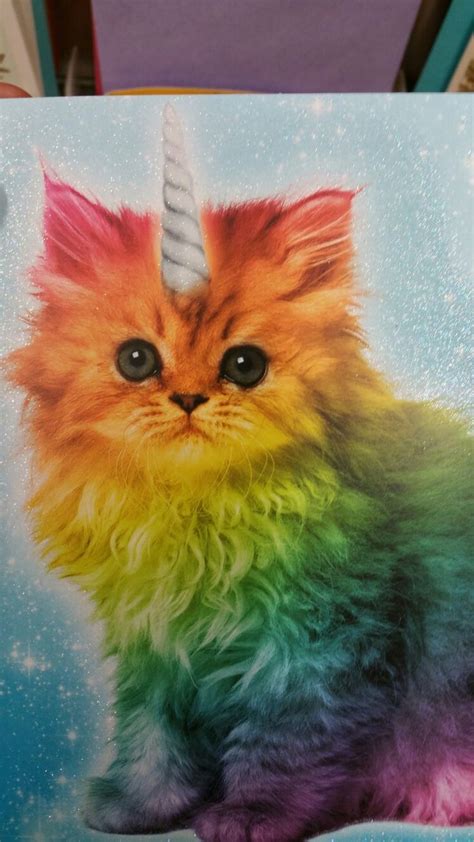 pin by lisa h on cats with images rainbow cat unicorn