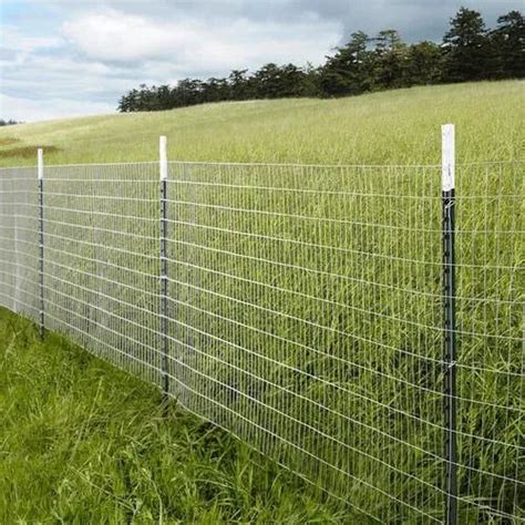 pvc coated chain link fence wire fencing manufacturer  ahmedabad
