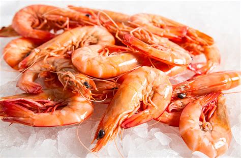 gene silencing technology alters sex of prawns agriculture monthly