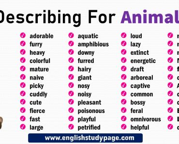 englishstudy author  english study page page