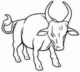Ox Coloring sketch template