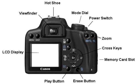 buying digital cameras product reviews buying guides