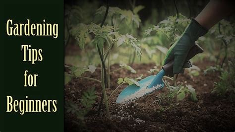 The Top 10 Best Gardening Tips For Beginners Tools Topics
