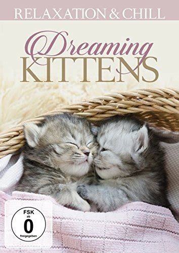 dreaming kittens [dvd] movies and tv