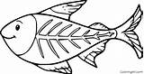 Fish Ray Coloring Pages Printable Easy Drawing Cartoon Tetra Color sketch template