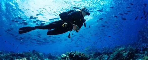 learn scuba diving   rid   fear  club mahindra