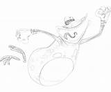 Globox Rayman sketch template