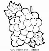 Grapes Coloring Outline Bunch Leaves Drawing Pages Flower Clipart Grape Royalty Book Outlines Vine Colouring Printable Illustration Decor Patterns Lal sketch template