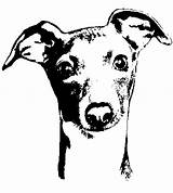 Greyhound Puppy Puppies Whippet Greyhounds Rubber sketch template