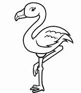 Fenicottero Flamingo sketch template