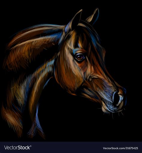 portrait  arab horse color realistic drawing vector image