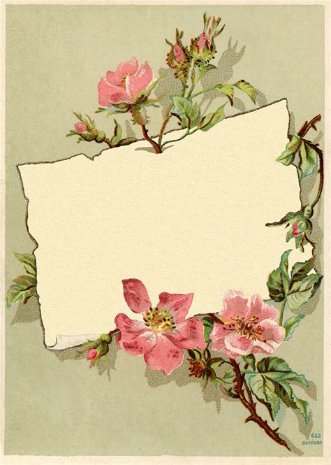 vintage rose frame images  graphics fairy