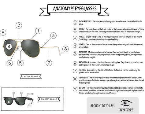anatomy  eyeglasses rancho santa fe optometry