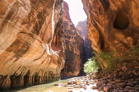 expect  hiking  narrows  zion national park  chel