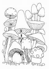 Coloring Mushroom Book Premium Doodles Isolated Illustration Vector Background sketch template