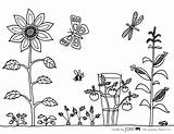 Coloring Garden Vegetable Sheet Pages Printable Flower Drawing Joel Colouring Sheets Preschool Gardens Print Kids Made Gardening Color Vegetables Flowers sketch template