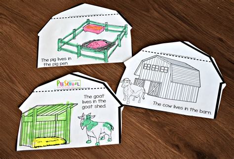 top  information  farm animals  preschoolers