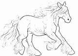 Paarden Dieren Lineart Paard Tinker Animaatjes Galloping Equine Coloriages Pages Uitprinten Manege sketch template