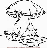 Musher Mushrooms sketch template