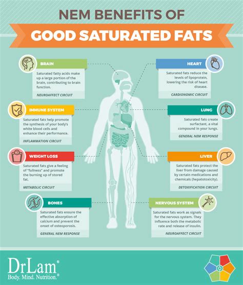 saturated fat isnt  bad learn  truth  good saturated fats