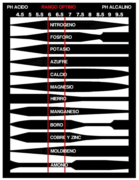 Que Es El Ph Del Agua Como Medirlo Y Controlarlo