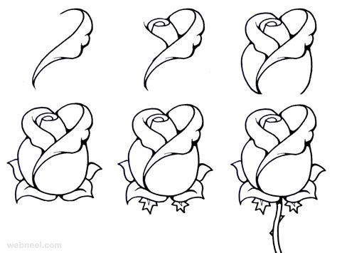 flower drawing step  step  preview
