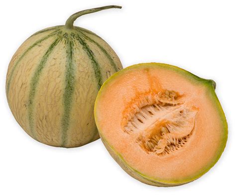 melon fruits  vegetables
