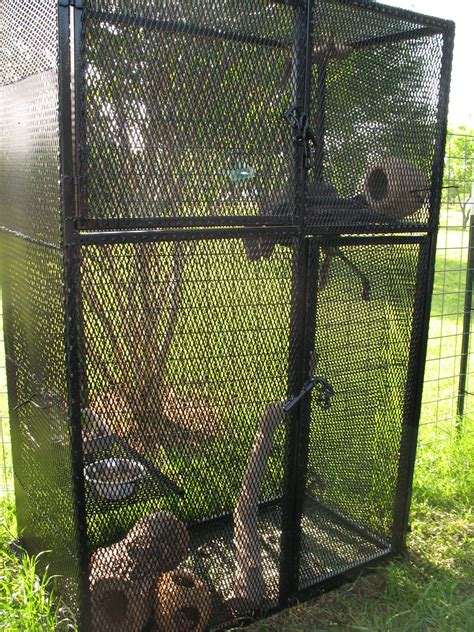 squirrel cage   outdoor squirrel cage   stop flickr