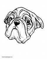 Dog Coloring Faces Pages Pug Realistic Face Drawing Colouring Pugs Dogs Book Getdrawings Library Popular Clipart Coloringhome Codes Insertion sketch template