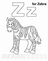 Zebra Coloring Pages Handwriting Worksheets Color Sheet Practice Letter Printable Baby Az Kindergarten Getdrawings Library Clipart Worksheeto Books sketch template